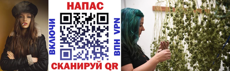 Шишки марихуана VHQ  Купить где  Сальск 